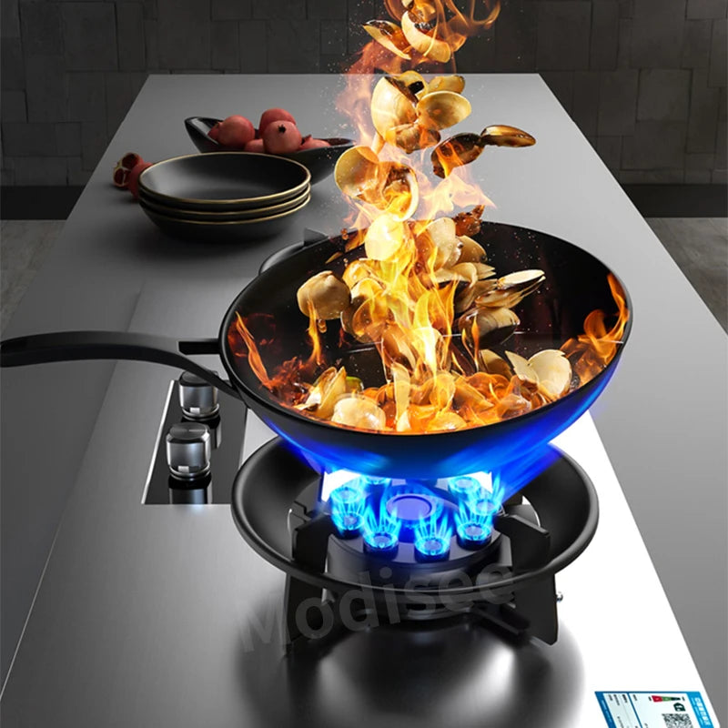 8.5Kw Gas Stove Dual Stove Household Embedded Natural Gas Liquefied Gas Timing Stove Fierce Fire Stove Desktop Dual-Use Kitchen